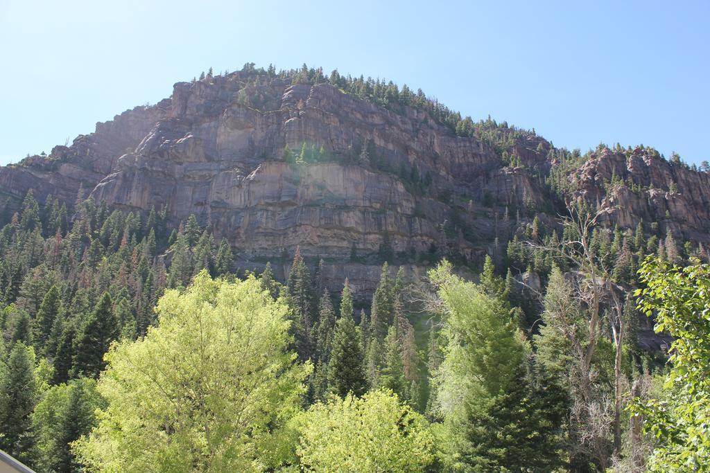 Black Bear Manor Ouray Ngoại thất bức ảnh